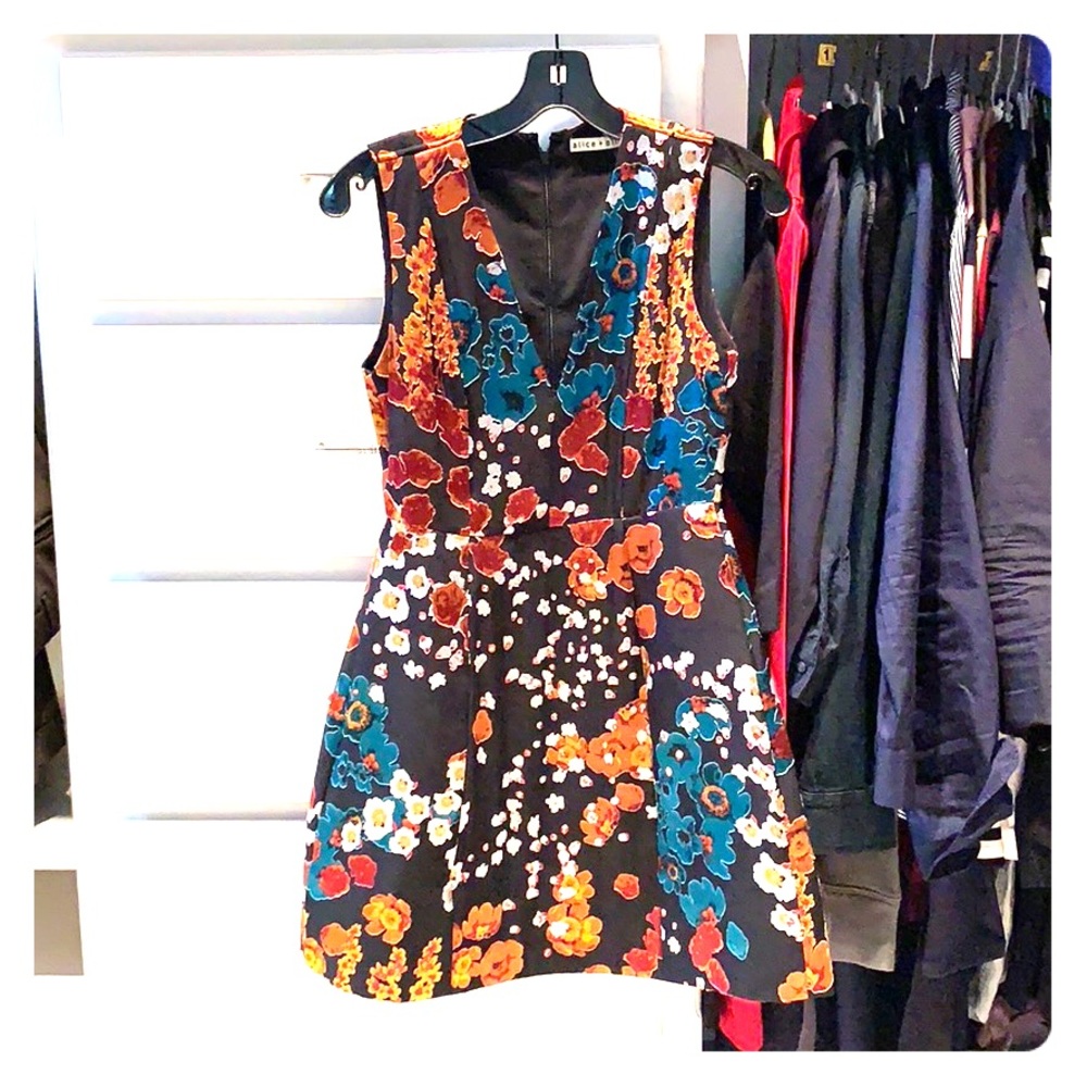 Alice and Olivia dress